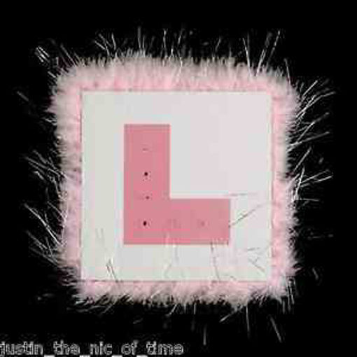 Picture of HEN NIGHT FLASHING L PLATE